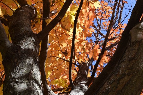 Comment avoir du Wi-Fi avec un câble Ethernet ?